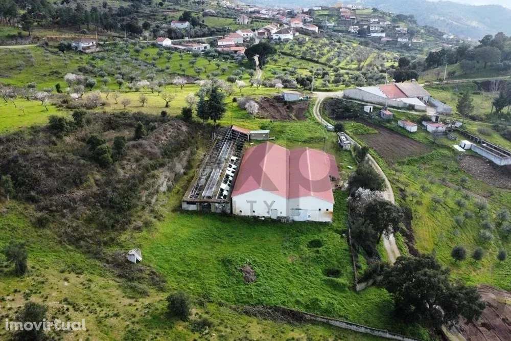 Armazém em Mirandela - 602m² de Oportunidade - Grande imagem: 2/9