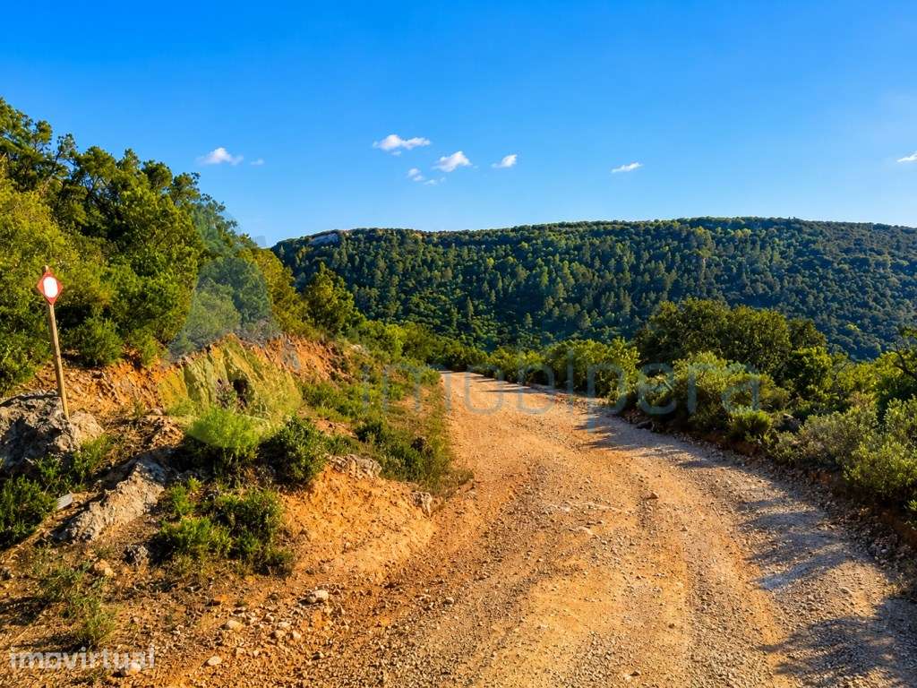 Terreno agricola com vista panoramica em Pomar Pico Alto S.Bartolom... - Grande imagem: 3/5