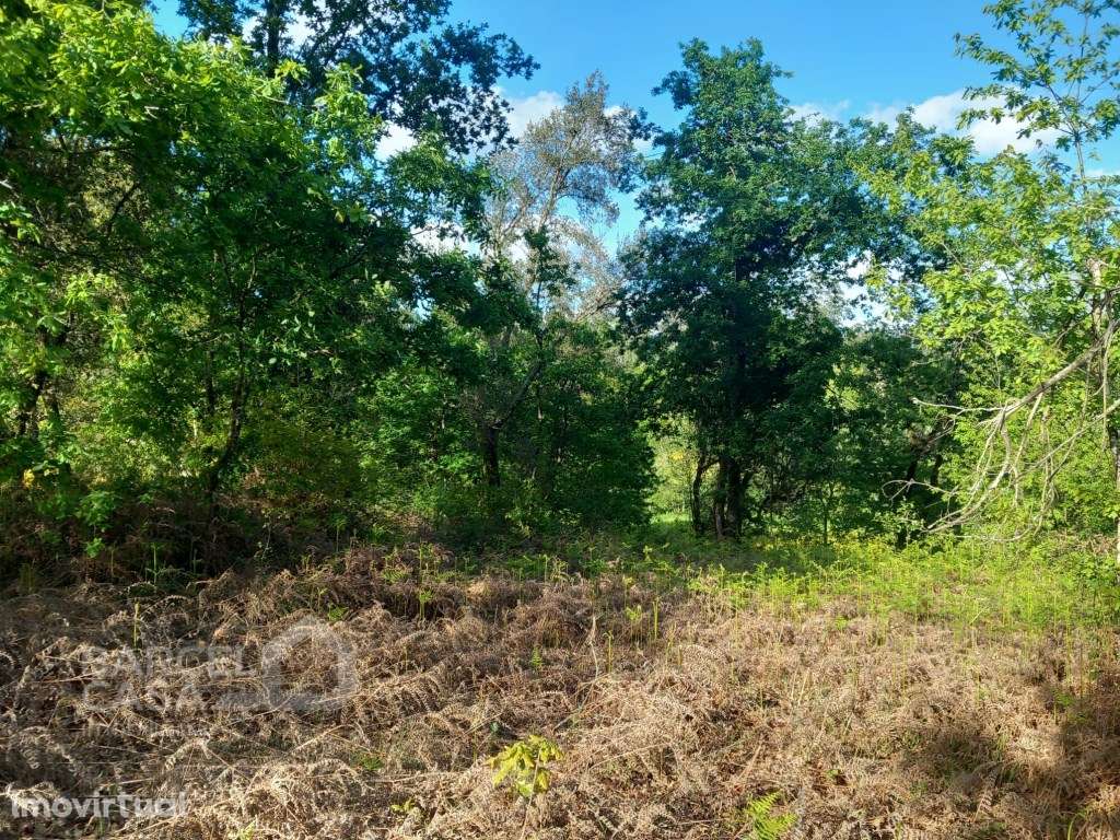 Terreno de construção em Sandiães - Ponte de Lima - Grande imagem: 2/11