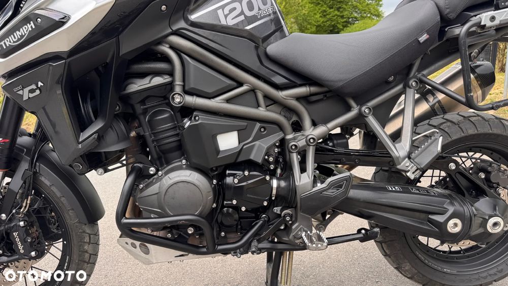 Triumph Tiger - 20