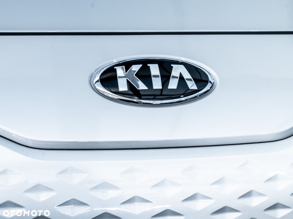 Kia Niro 64kWh L - 11