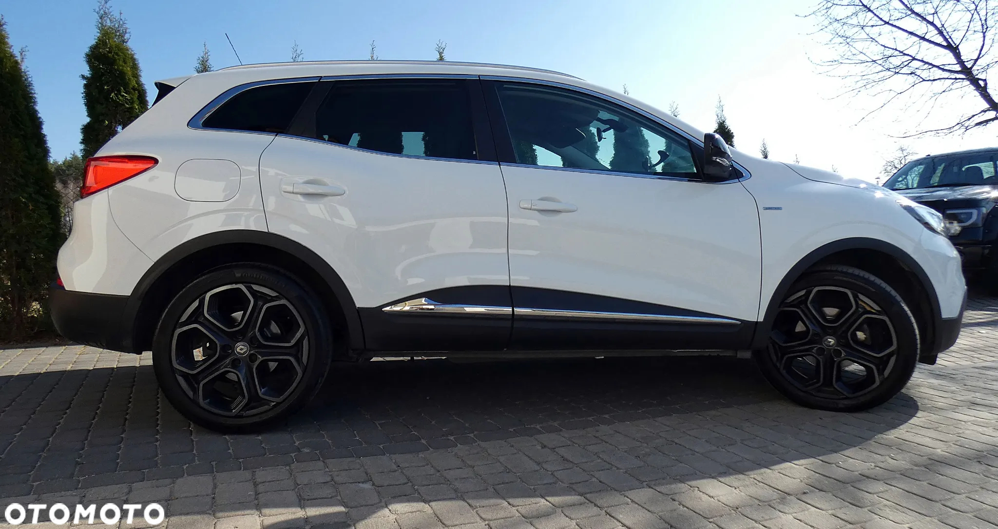 Renault Kadjar 1.3 TCe FAP Limited - 8