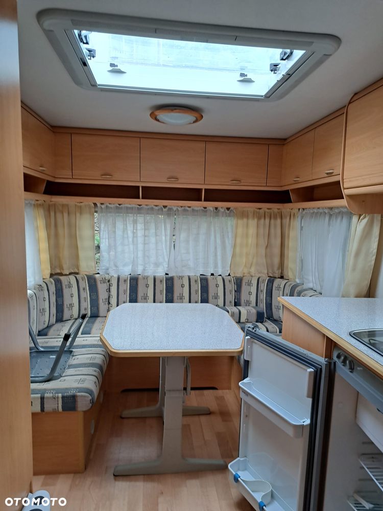 Wilk SPORT 490 - 20