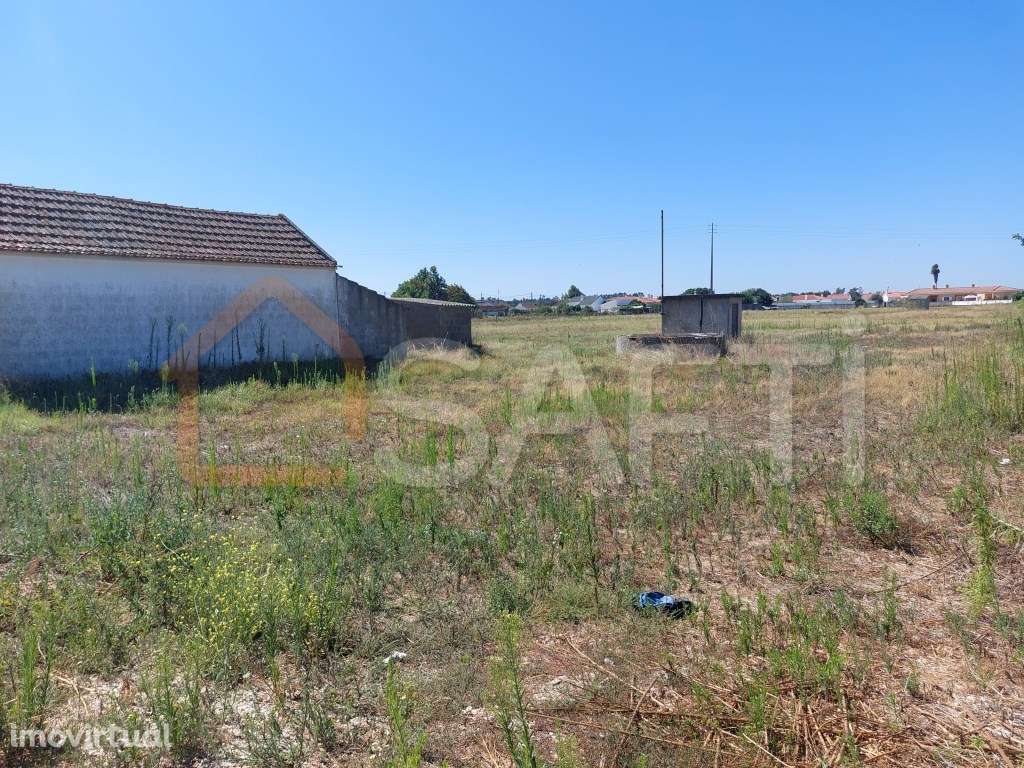 Lotes de Terreno em Marinhais, Salvaterra de Magos - Grande imagem: 3/10