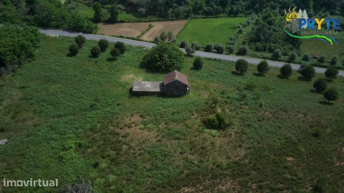 Quinta com 3,6 hectares na Sertã - Pinhal, Oliveiras e Bons Acessos. - Grande imagem: 4/24