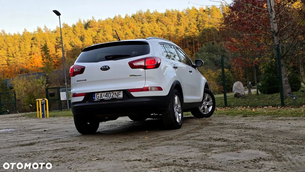 Kia Sportage 1.6 GDI Business Line 2WD - 20