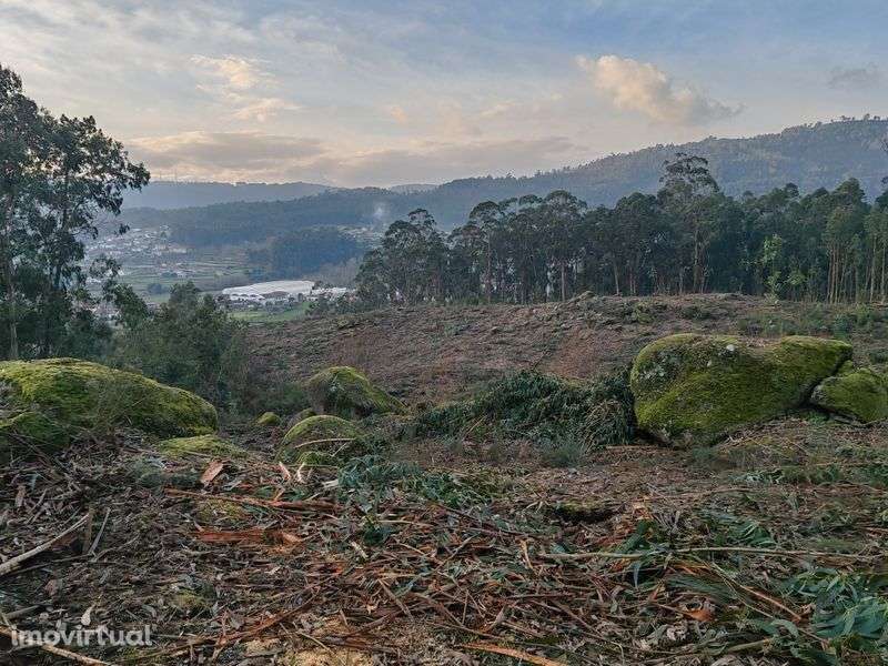 Terreno 4 Hetares Alugo/troco - Grande imagem: 4/7