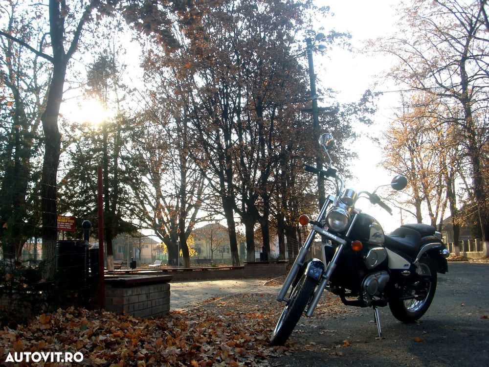 Gilera Eaglet 50 - 2