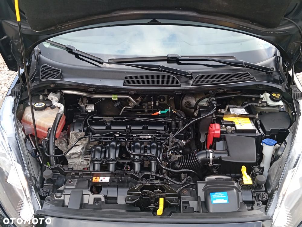 Ford Fiesta 1.25 Champions Edition - 21