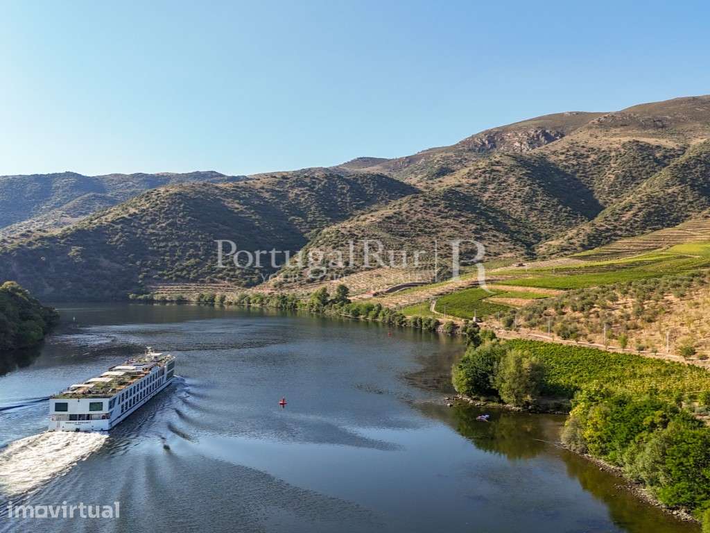 Quinta no Douro junto ao Rio com 3 construções - Grande imagem: 2/50