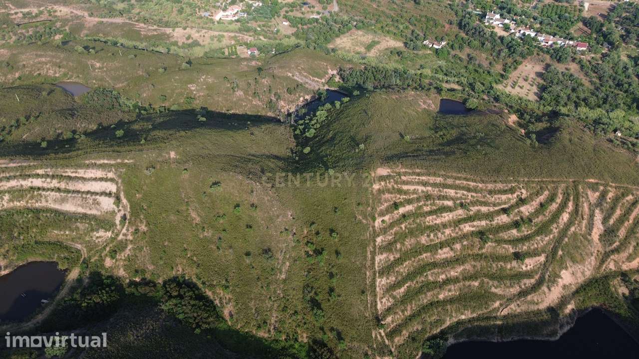 Terreno rústico com 31.040 m² – Serro da Venda, São Bartolomeu de Mess - Grande imagem: 4/5