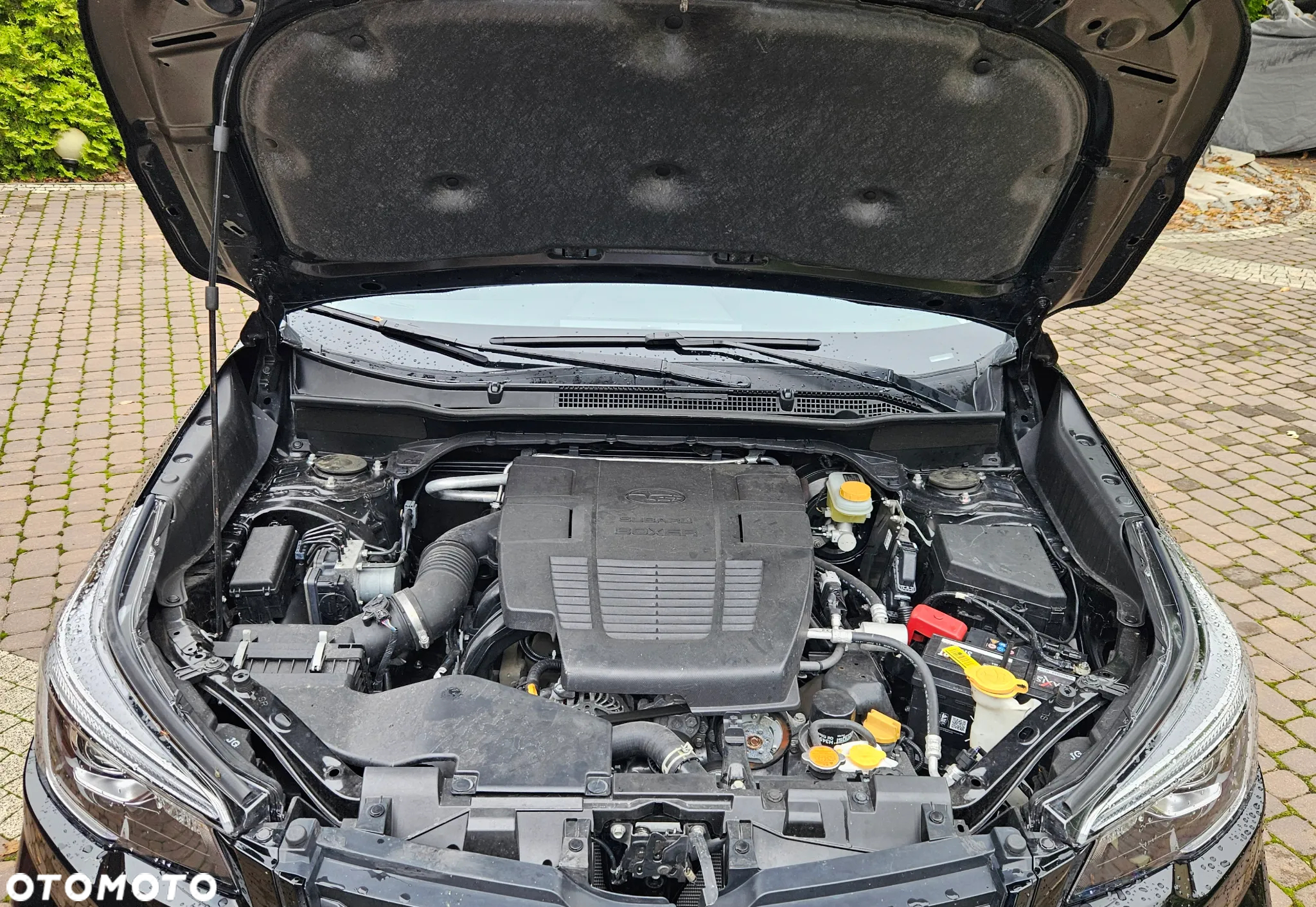Subaru Forester - 39