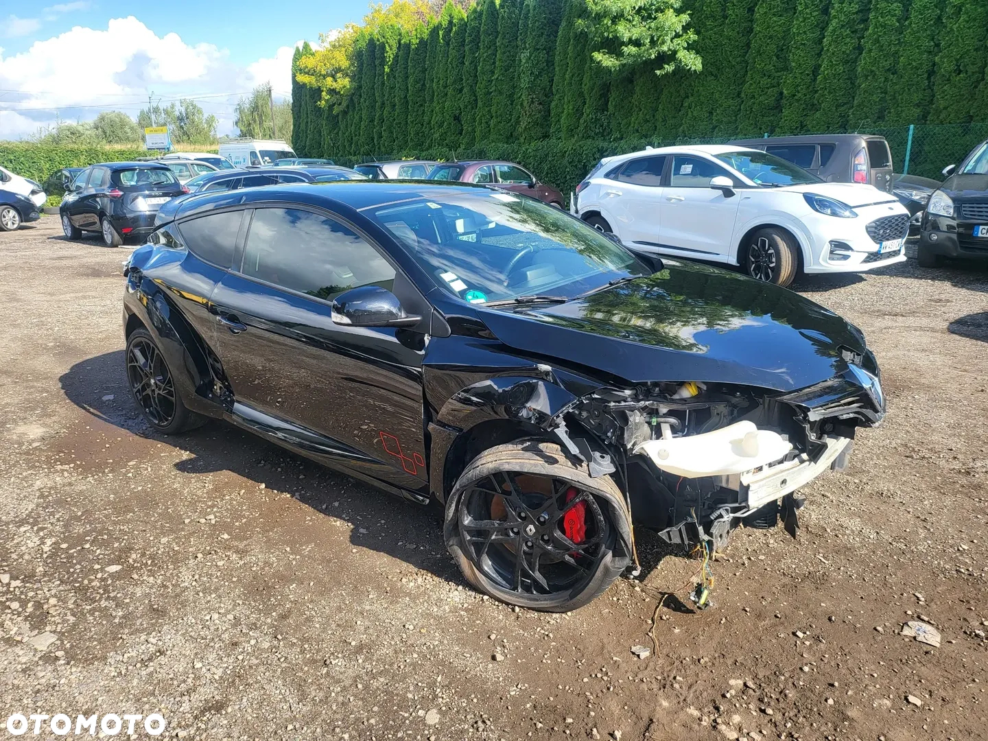 Renault Megane 2.0 16V R.S - 21