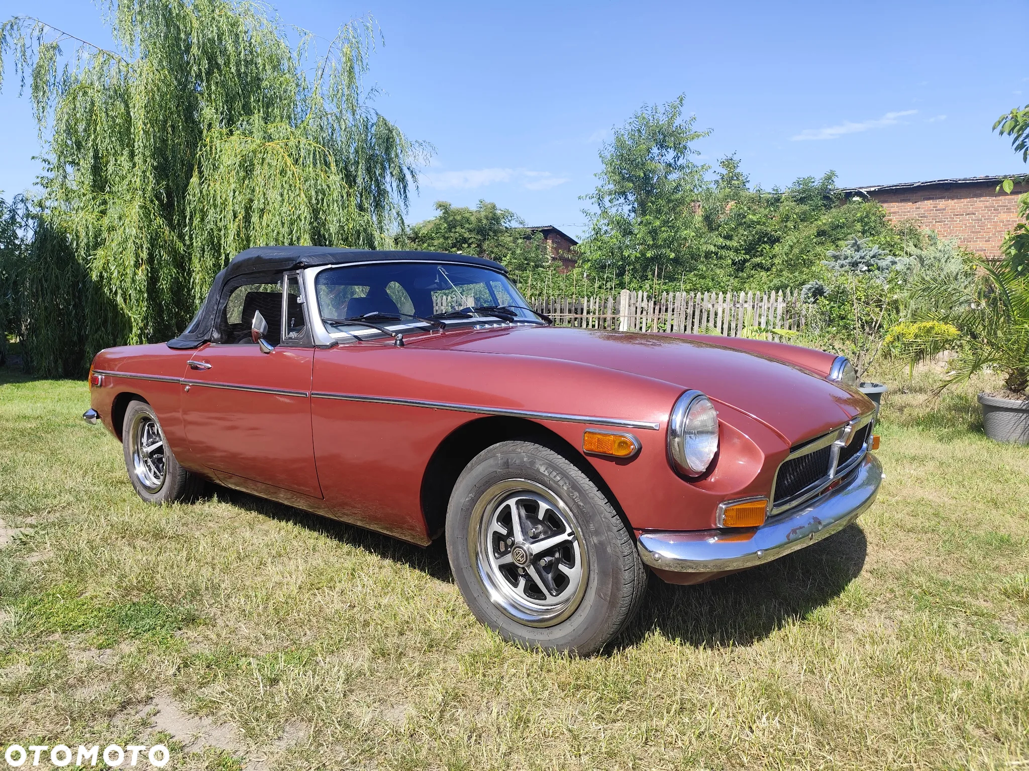 MG MGB - 5