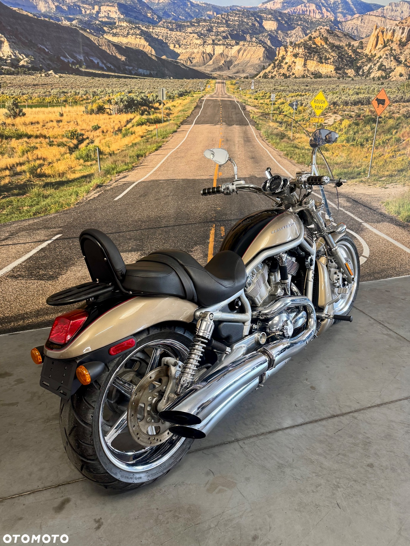 Harley-Davidson V-Rod Street Rod - 5