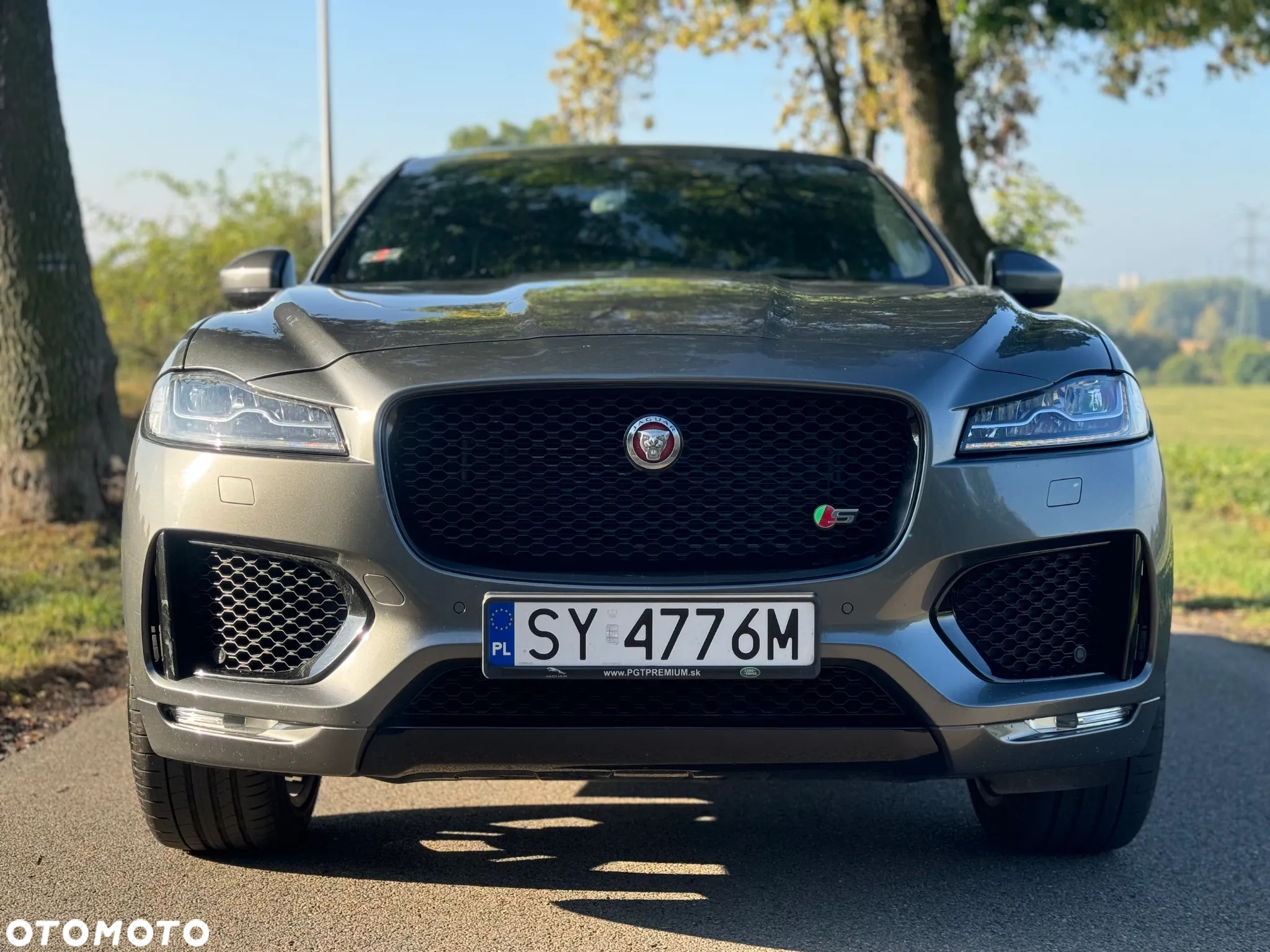 Jaguar F-Pace 3.0 TDV6 AWD Pure - 11