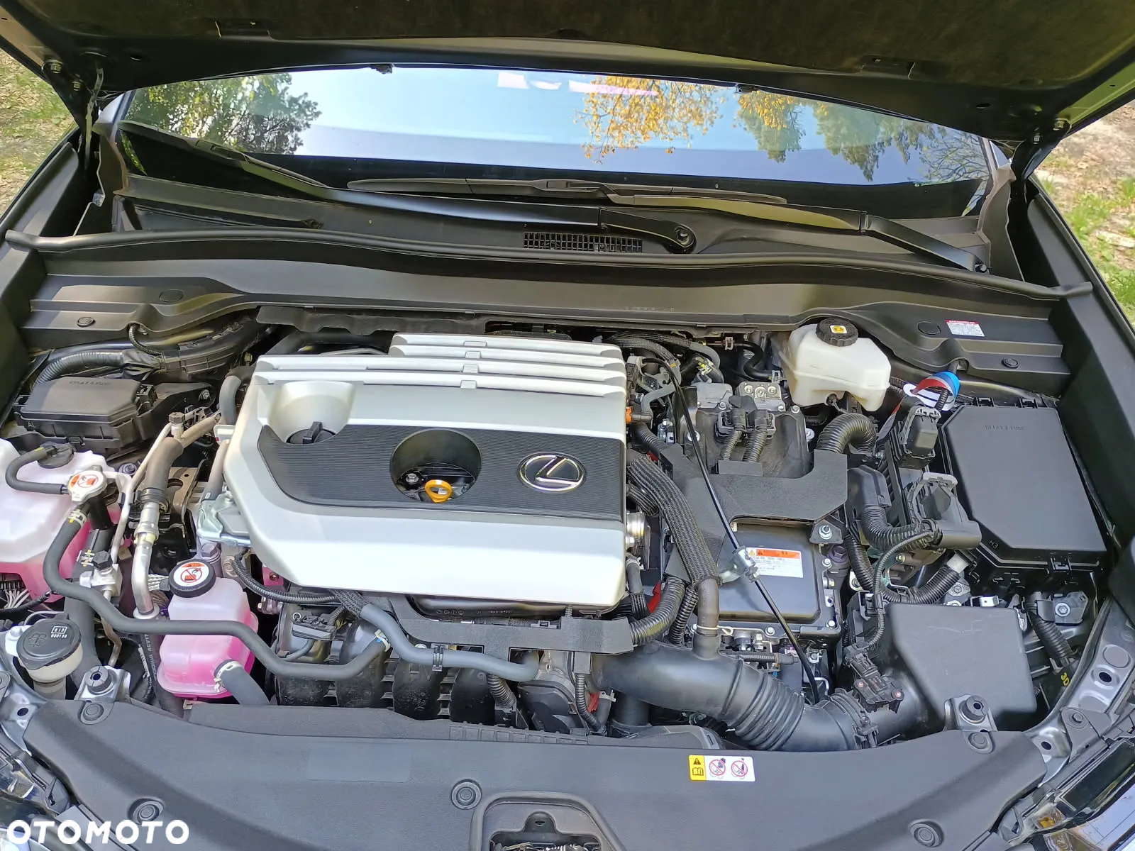Lexus UX 250h GPF Business 2WD - 21