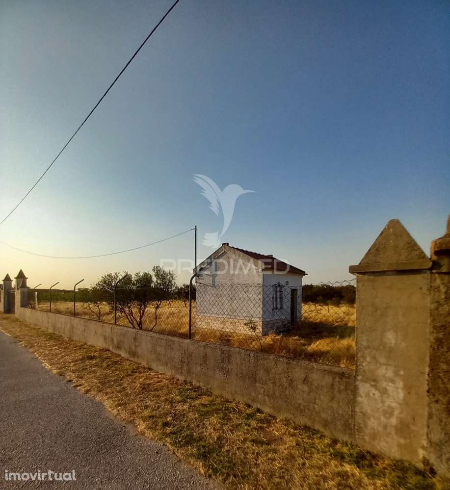 Terreno Rústico - Grande imagem: 2/4