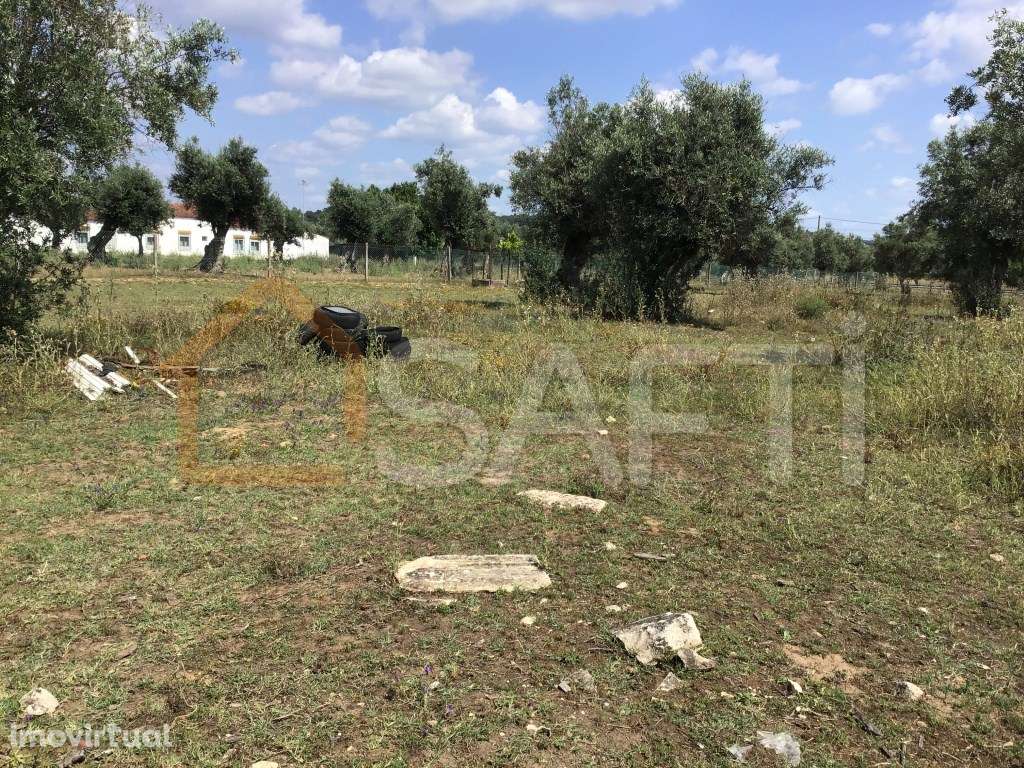 Terreno de 7.650m2 com lagar, inserido na Zona construível de Abrantes - Grande imagem: 2/17