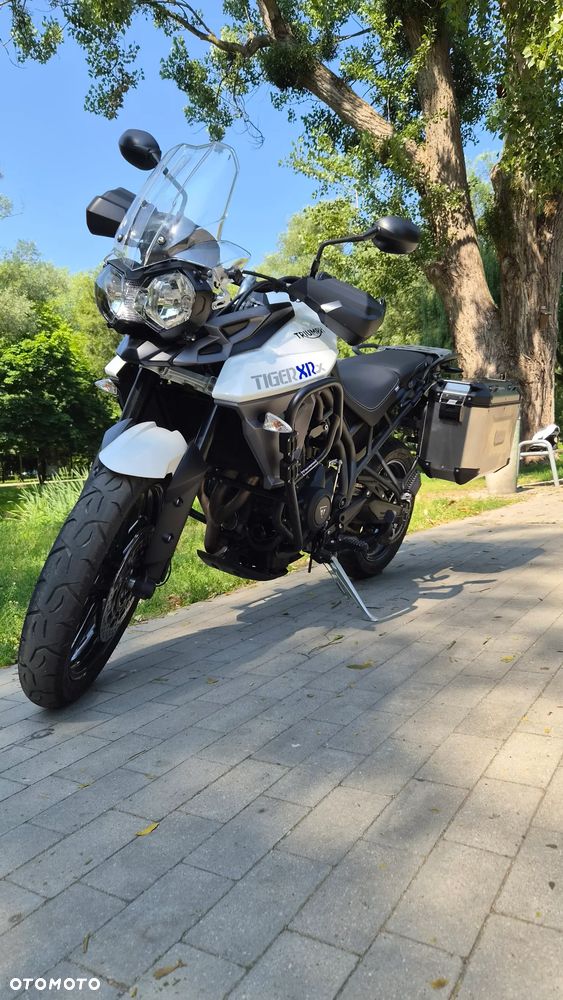 Triumph Tiger - 8