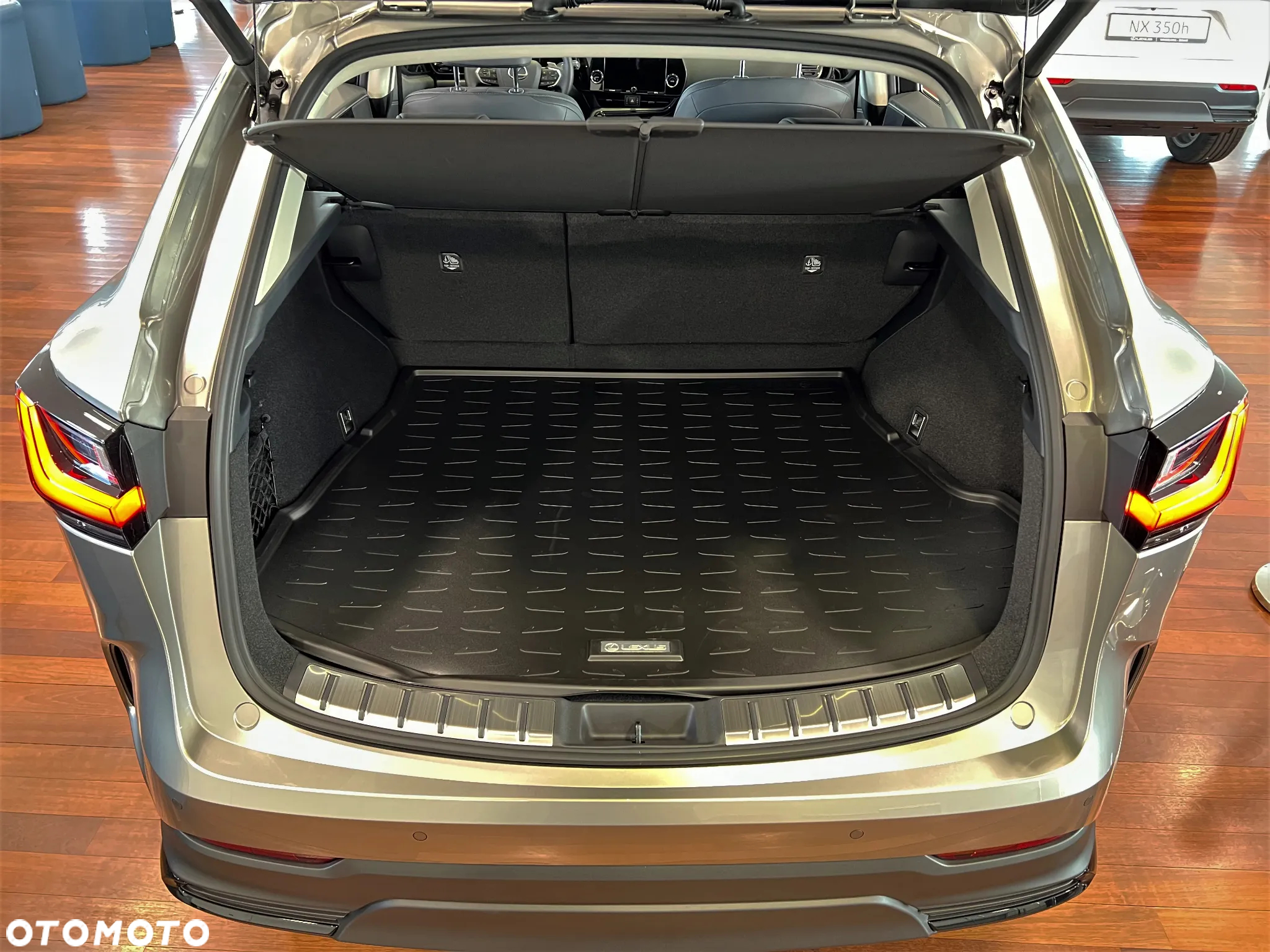 Lexus NX - 15