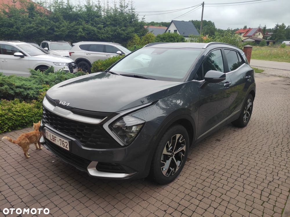 Kia Sportage 1.6 T-GDI Business Line 2WD - 8