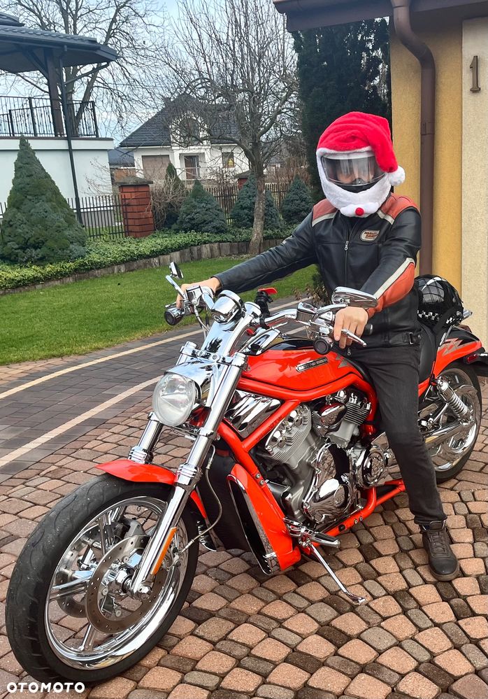 Harley-Davidson Softail V-Rod - 3