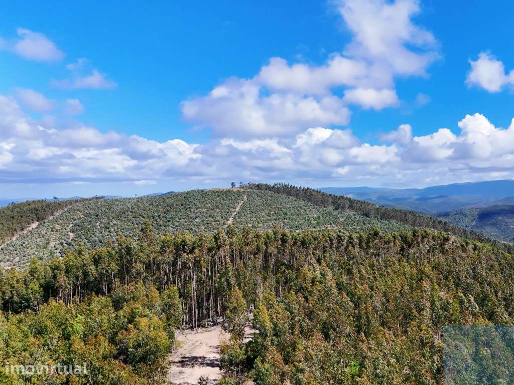Terreno em São Teotónio, Odemira - Grande imagem: 2/29