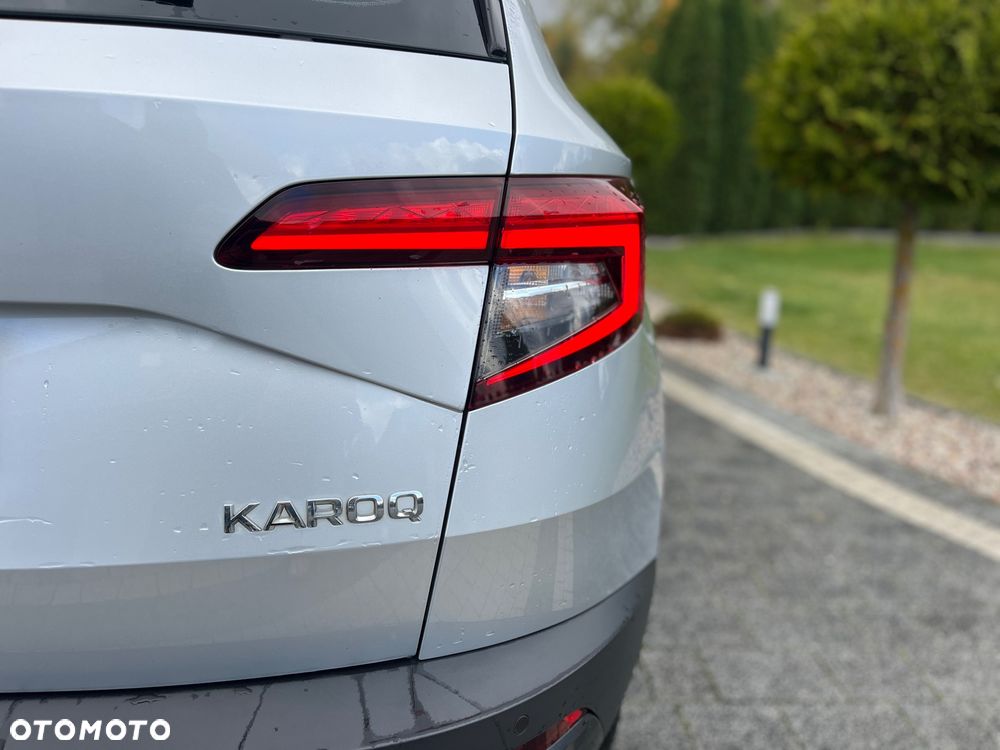 Skoda Karoq - 10