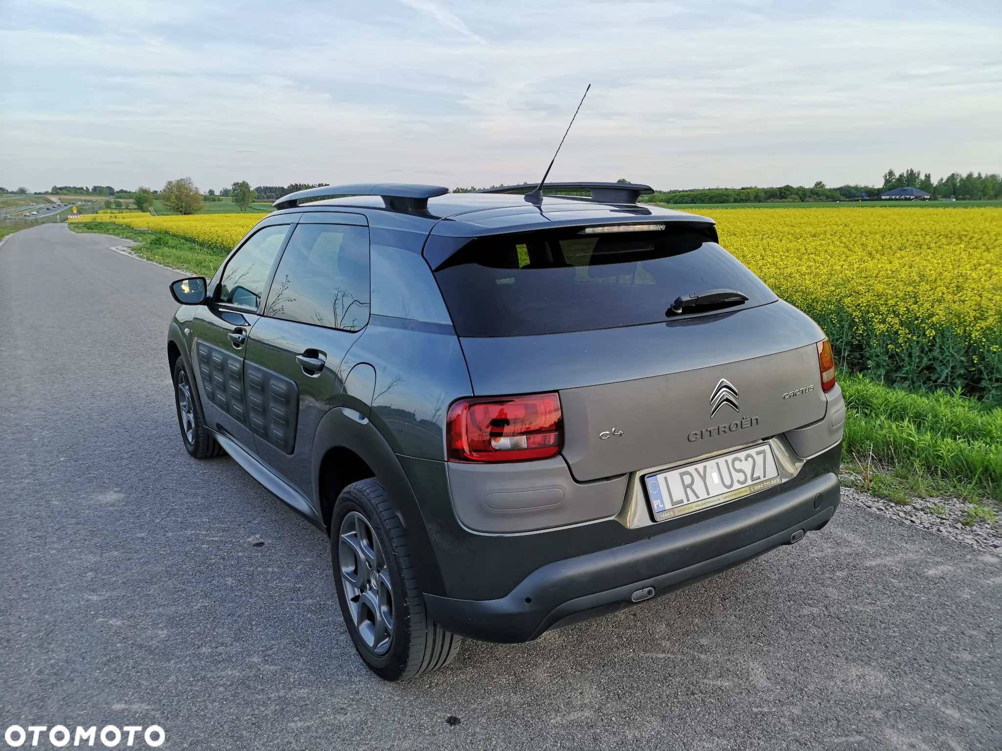 Citroën C4 Cactus 1.2 PureTech Shine Edition S&S ETG - 29