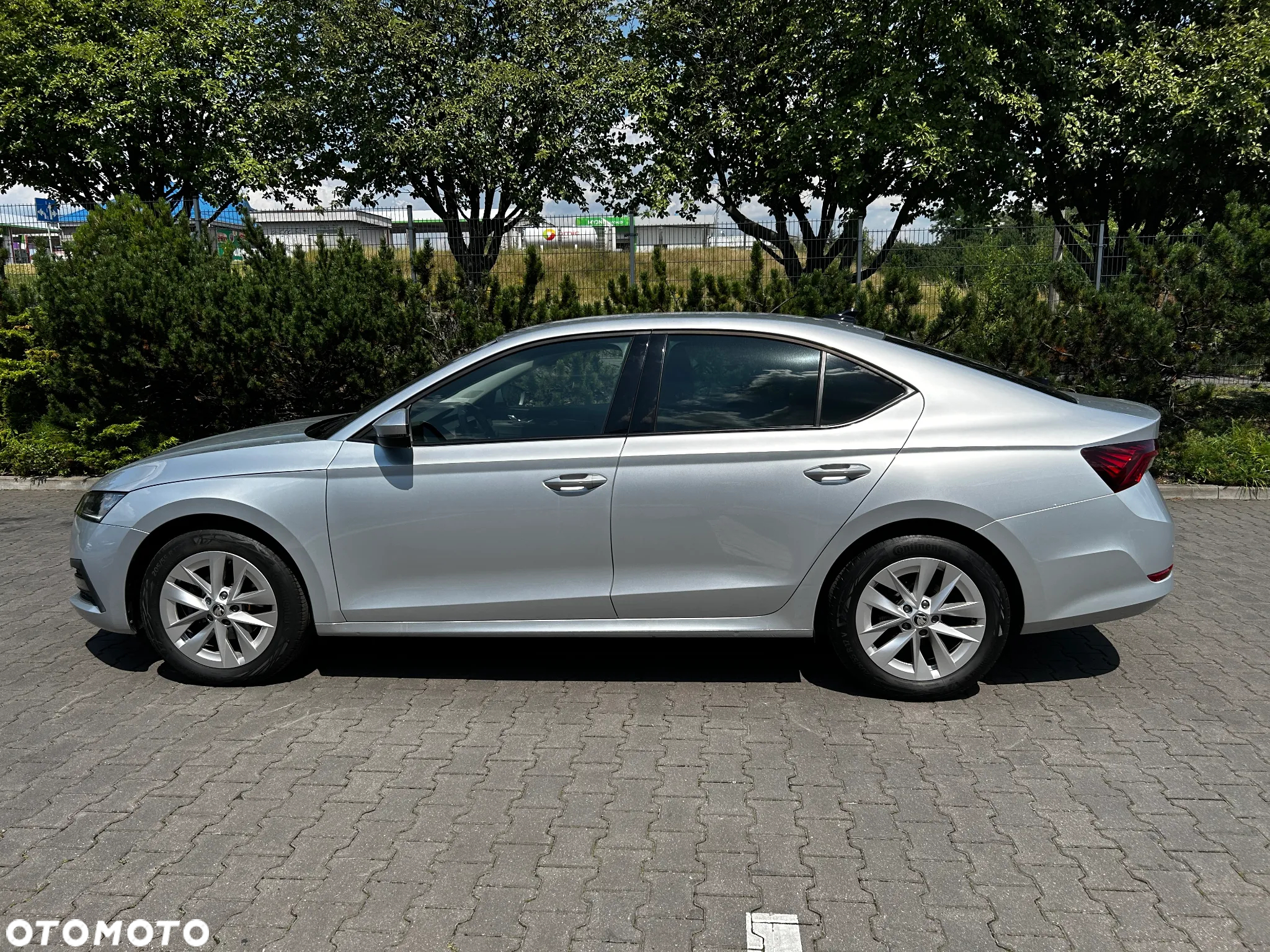 Skoda Octavia - 11