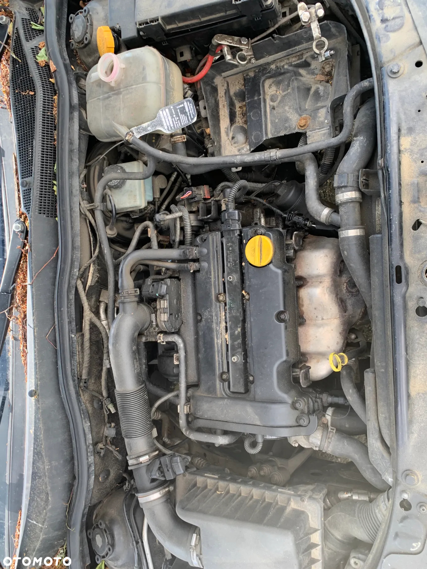 OPEL ASTRA GTC 2008 1.4 *SAMOCHÓD NA CZĘŚCI* 1085 MASKA LAMPA DRZWI LUSTERKO ZDERZAK GRILL BŁOTNIK KLAPA BELKA PRAWE LEWE PRZÓD TYŁ - 6