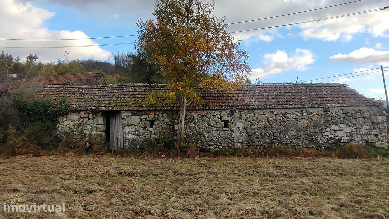 Terreno  Venda em Campelo e Ovil,Baião - Grande imagem: 5/21