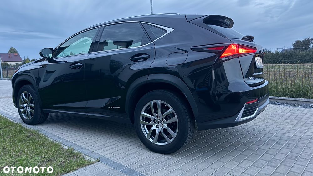 Lexus NX 300h Business Edition AWD - 8