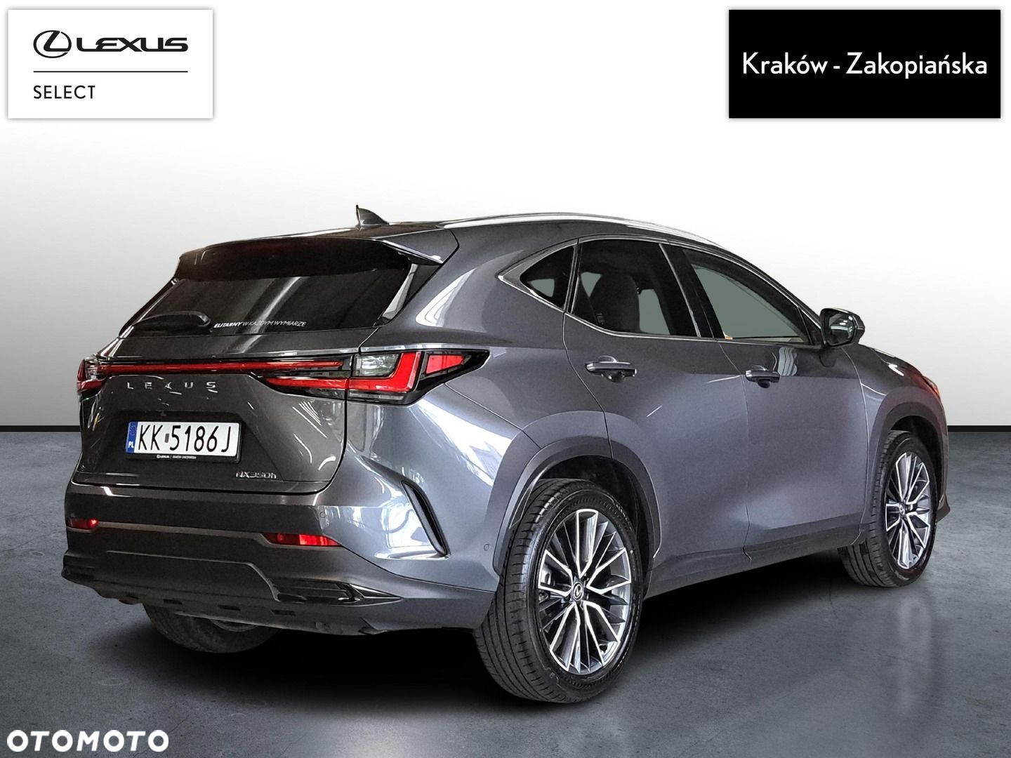 Lexus NX 350h Omotenashi AWD - 9