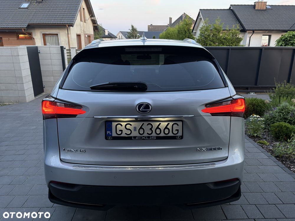 Lexus NX - 5