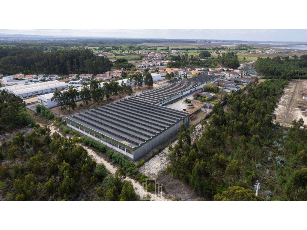 Armazém Industrial - Ovar - Grande imagem: 4/14