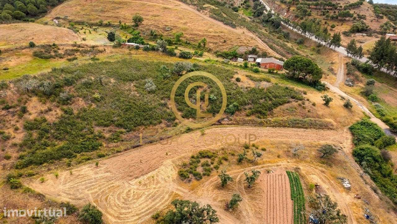 2 Terrenos Rústicos às portas de Vaqueiros, Alcoutim. - Grande imagem: 5/25