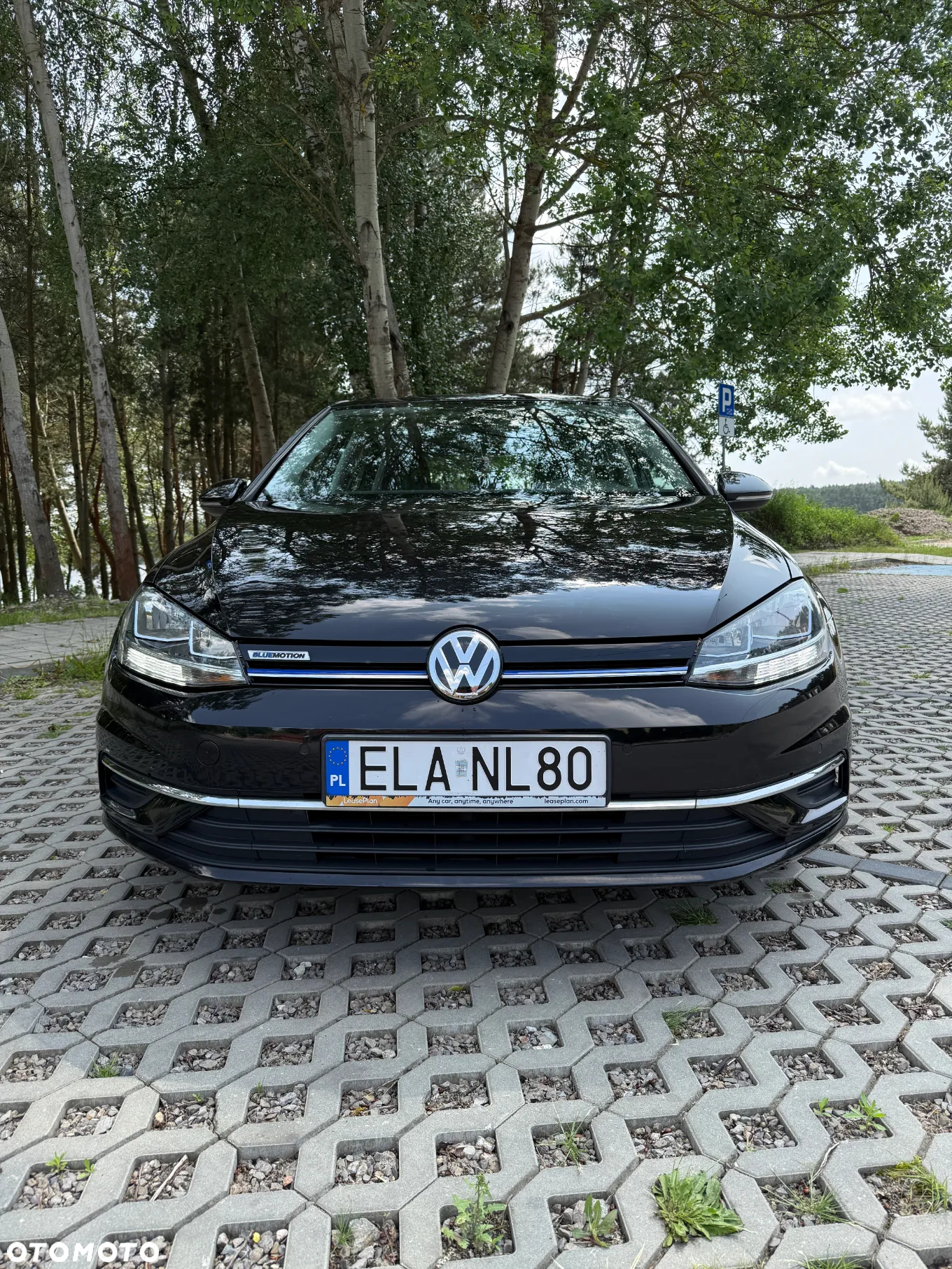 Volkswagen Golf - 8