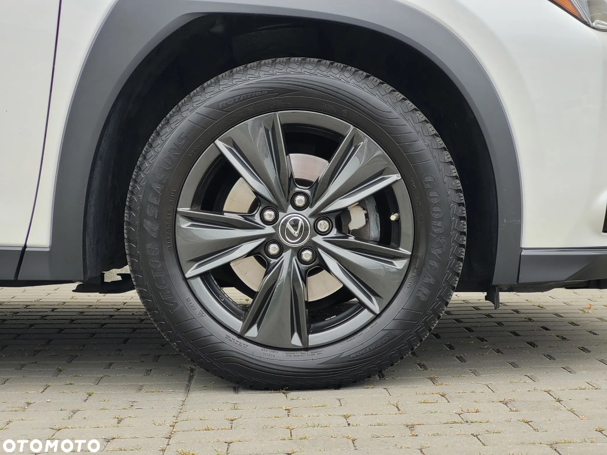 Lexus UX 250h Elegance 2WD - 11