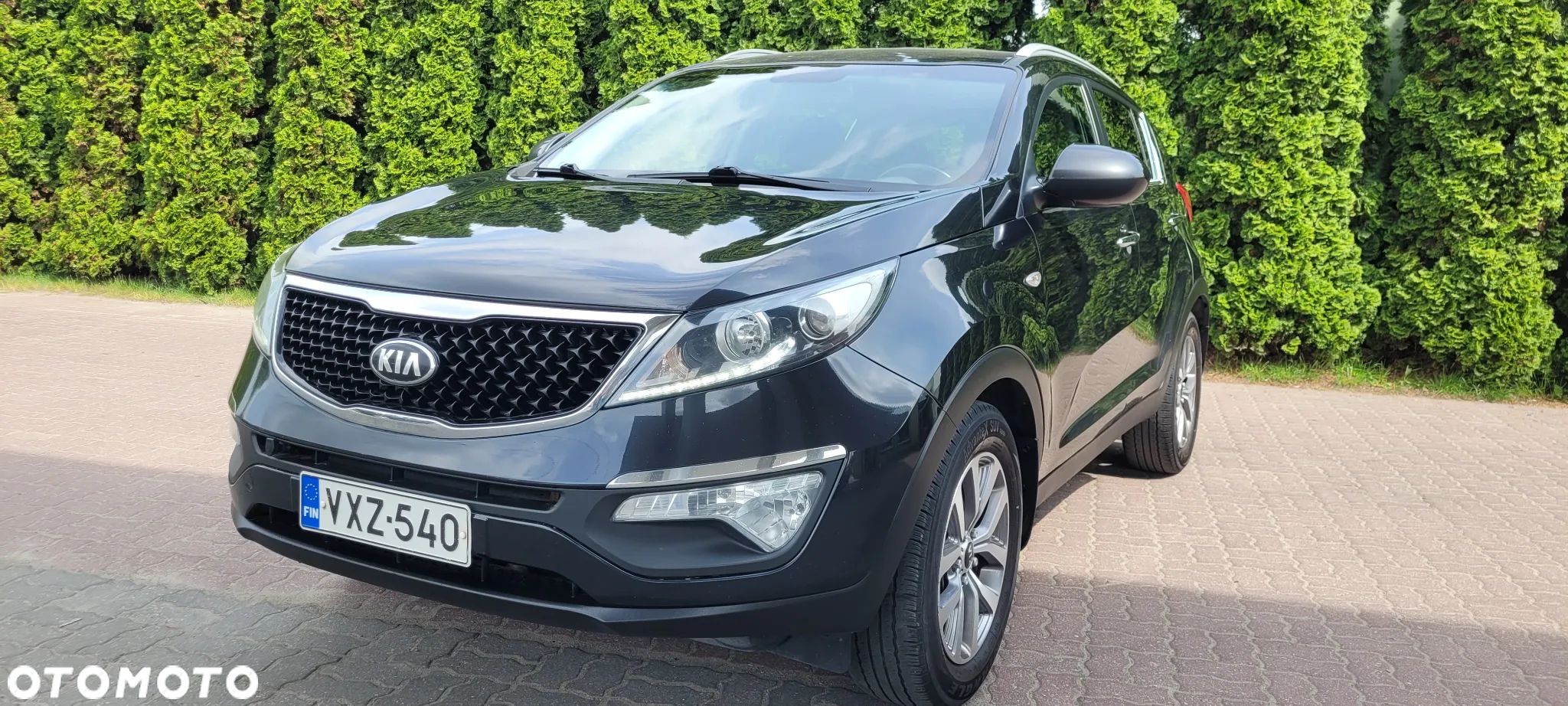 Kia Sportage - 1