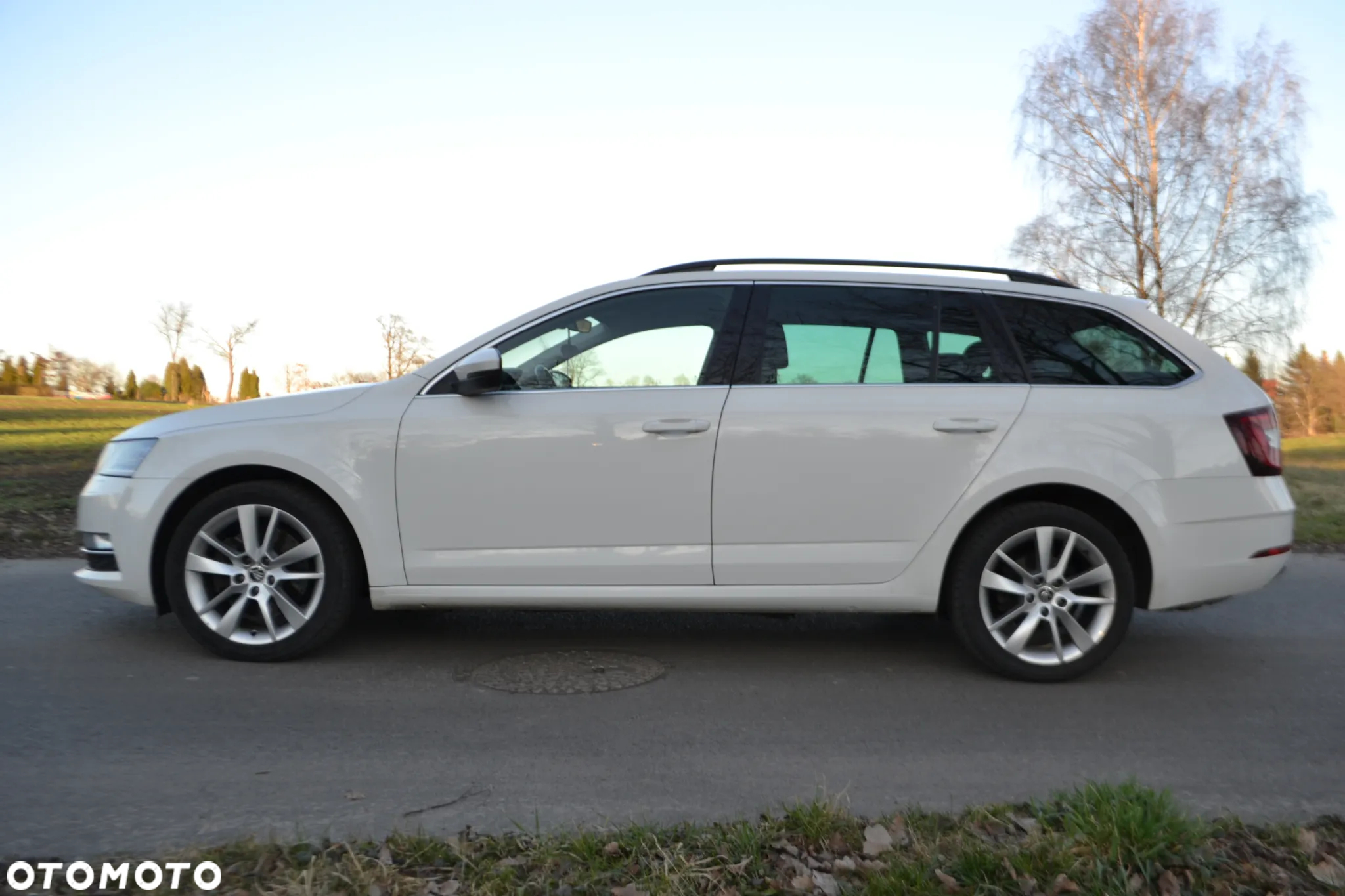 Skoda Octavia 2.0 TDI 4x4 Style DSG - 19