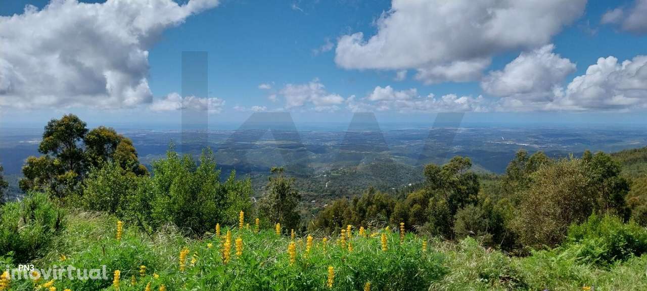 Terreno na Serra de Monchique 8.780 m2 - Grande imagem: 2/28