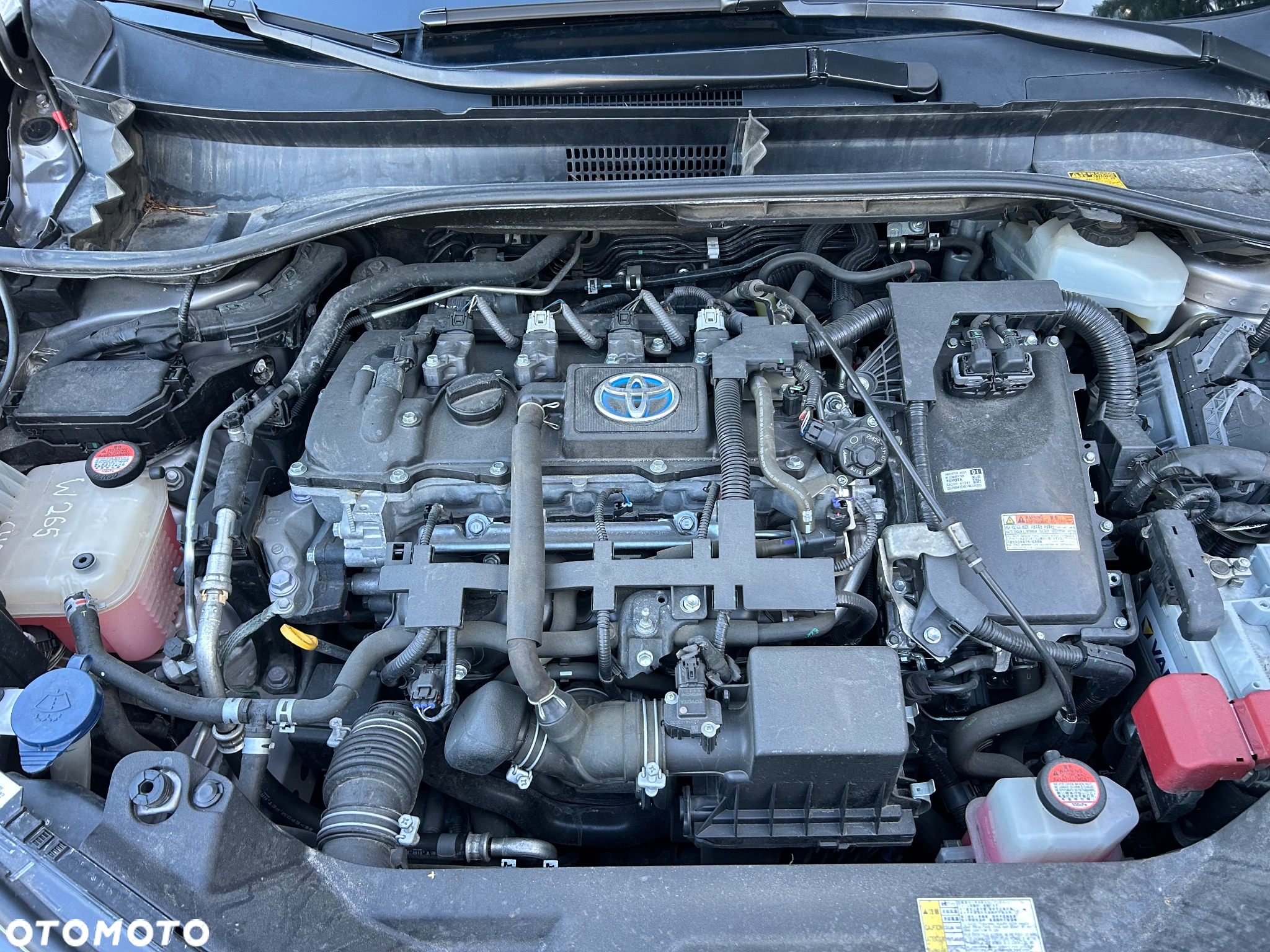 Toyota C-HR 1.8 Hybrid Executive - 13