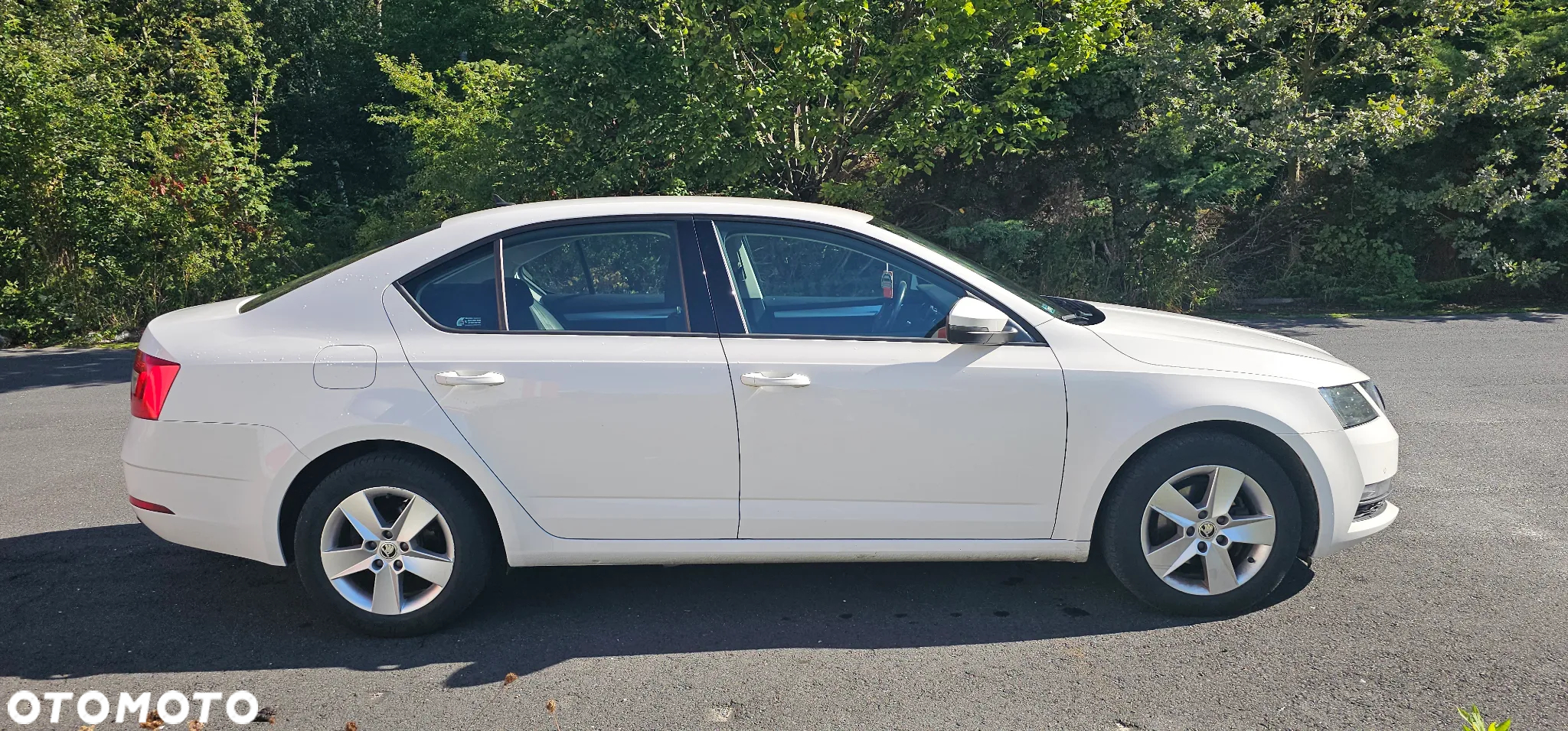 Skoda Octavia - 6