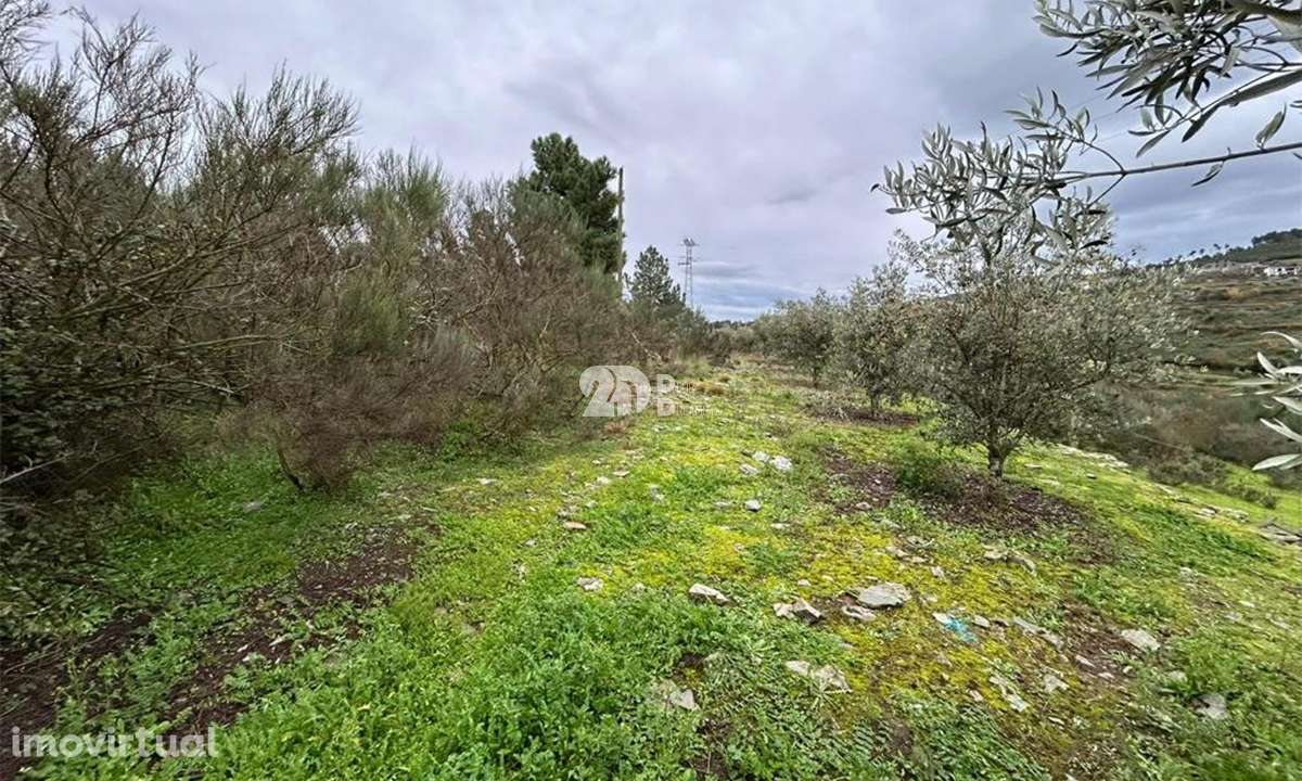 Terreno 2.000m² - Baldornas - Grande imagem: 3/10