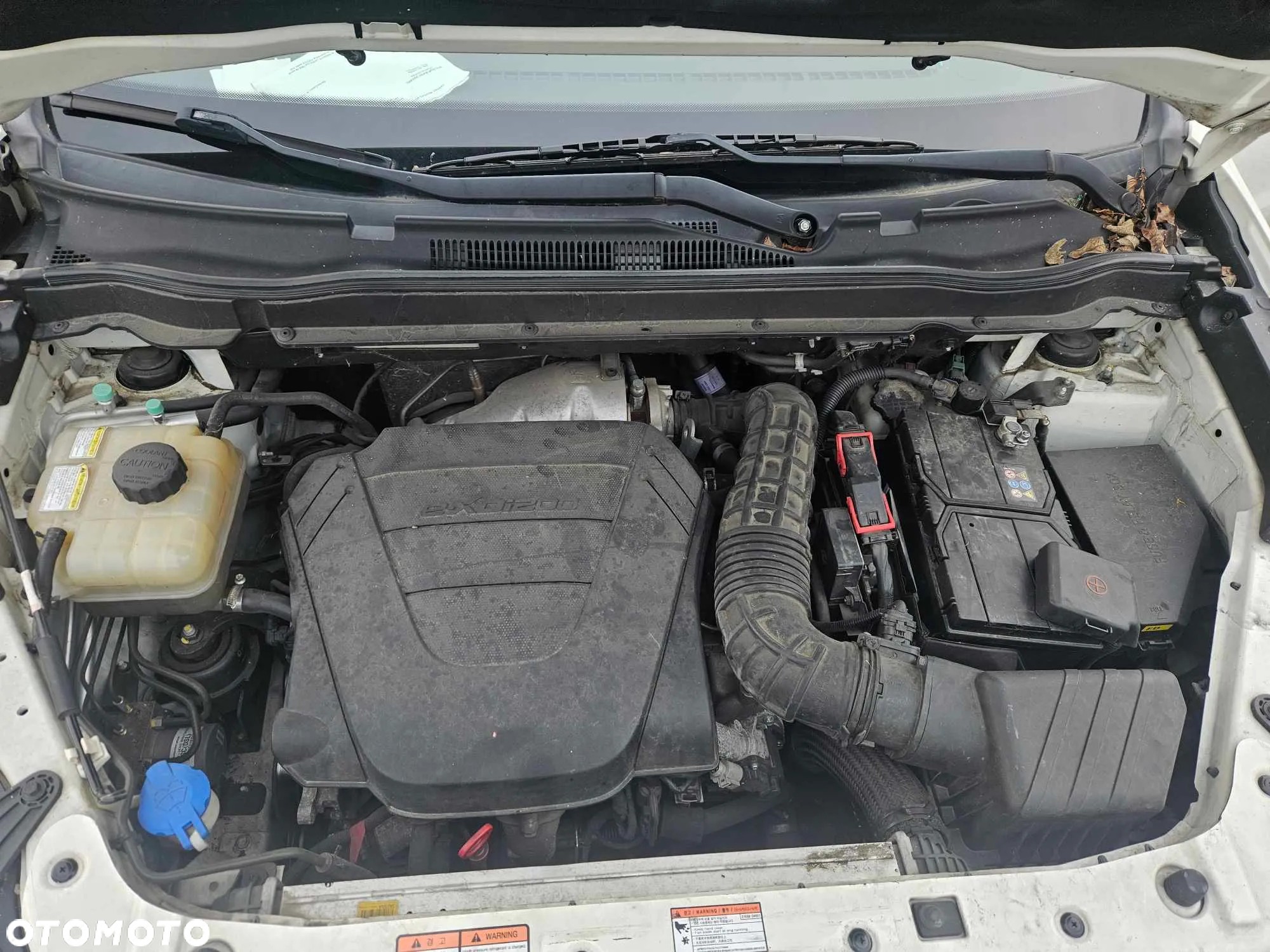SsangYong/KGM Korando 2.0 D Crystal 2WD - 15
