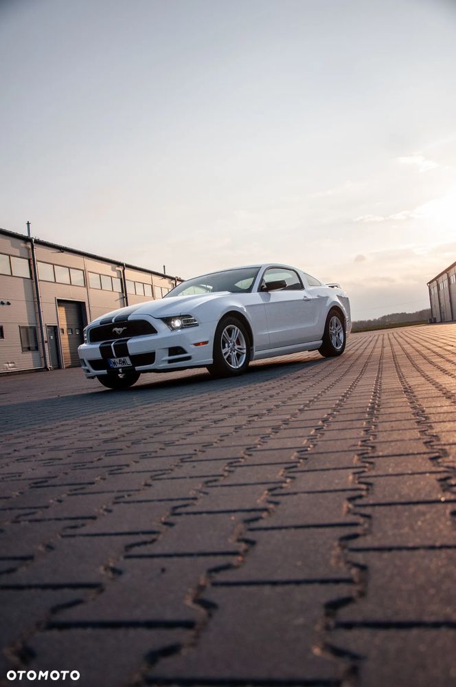 Ford Mustang 3.7 V6 - 11