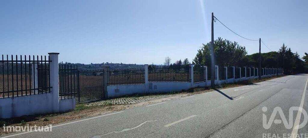 Quinta em Sameice e Santa Eulália de 240 m2 - Grande imagem: 2/26