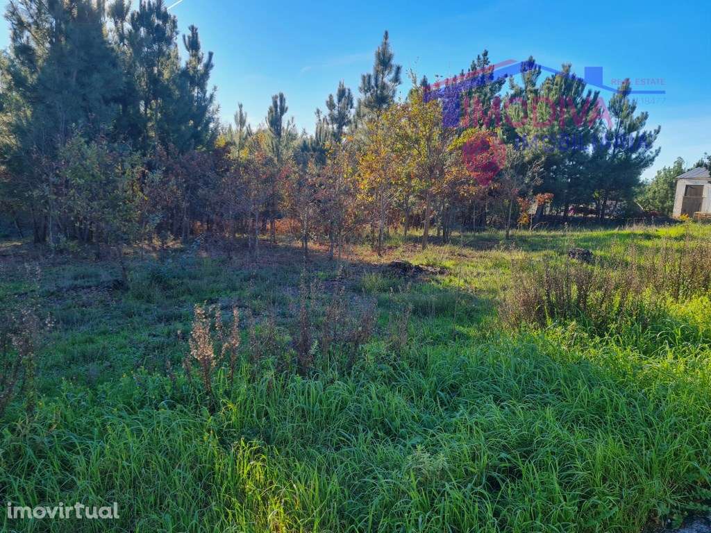 Terreno com possibilidade de construção em Pedrógão Grande - Grande imagem: 3/21
